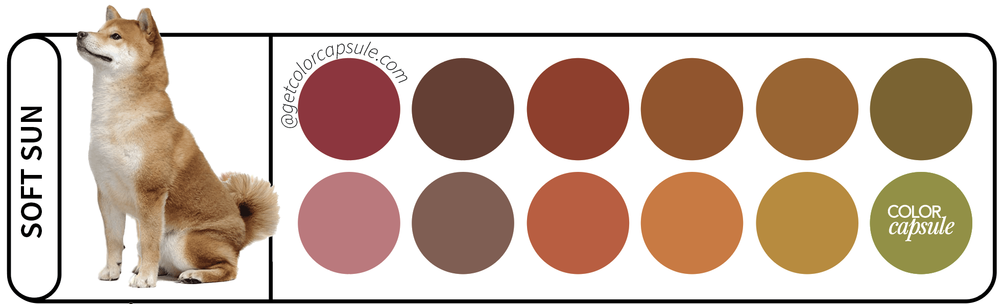 Shiba Inu Color Analysis Color Palette